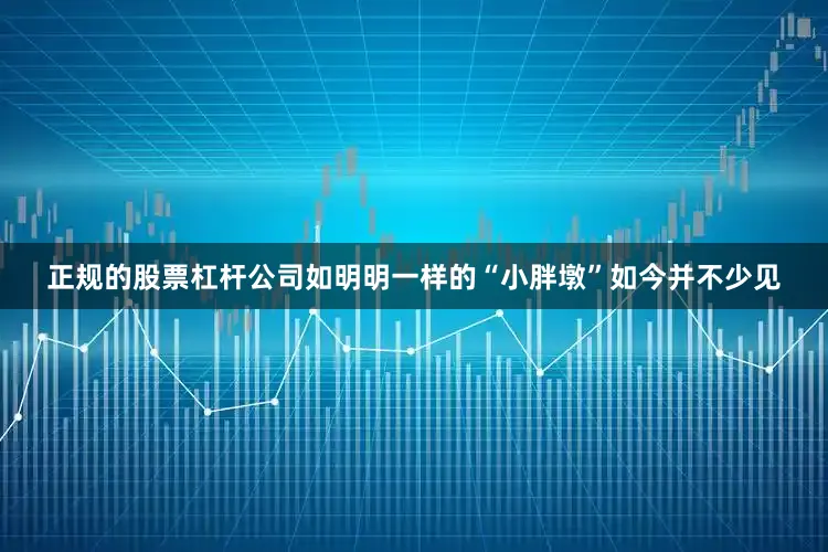 正规的股票杠杆公司如明明一样的“小胖墩”如今并不少见