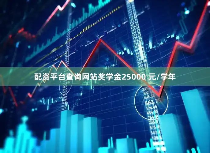配资平台查询网站奖学金25000 元/学年