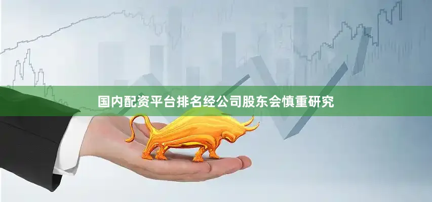 国内配资平台排名经公司股东会慎重研究