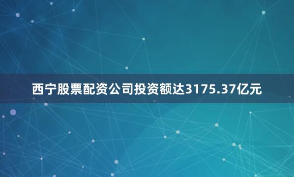 西宁股票配资公司投资额达3175.37亿元